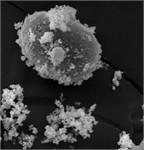 Characteristic morphology of dispersed particles