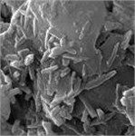 Characteristic morphology of dispersed particles