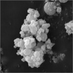 Characteristic morphology of dispersed particles