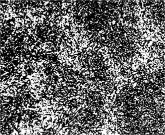 Microstructures of 35KhML steel specimen after tempering at 600–650 °C (x800). Photo by the authors in the laboratory of the Almalyk Branch of NUST MISIS, 2026