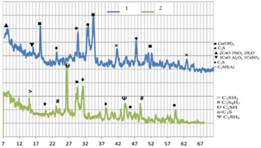 X-ray of the samples under study (1-control composition; 2-PTs 75 %+FA 25 %)