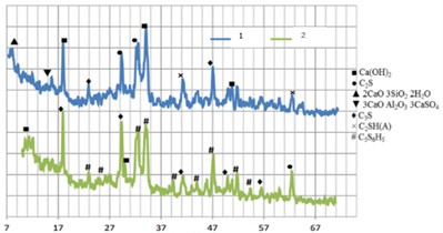 X-ray of the samples under study (1st control composition; 2nd PTs 75 %+FA 10 %+ LP 15 %)