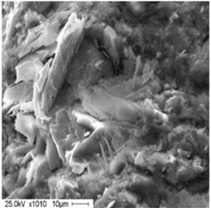 SEM micrographs illustrating the microstructural development of the studied samples at 28 days: a) Reference (control) composition: exhibiting a relatively porous architecture; b) composition with 2 % binary microfiller (PTs 75 % + FA 25 %): demonstrating a dense CSH matrix; c) optimized binary system (PTs 75 % + FA 10 % + LP 15 %): showing a highly refined, homogeneous, and defect-tolerant microstructure. Photo by Ulugbek Abdullaev at the Tashkent State Transport University Laboratory, January 2025