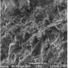 SEM micrographs illustrating the microstructural development of the studied samples at 28 days: a) Reference (control) composition: exhibiting a relatively porous architecture; b) composition with 2 % binary microfiller (PTs 75 % + FA 25 %): demonstrating a dense CSH matrix; c) optimized binary system (PTs 75 % + FA 10 % + LP 15 %): showing a highly refined, homogeneous, and defect-tolerant microstructure. Photo by Ulugbek Abdullaev at the Tashkent State Transport University Laboratory, January 2025