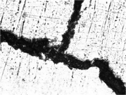 Quenching microcracks in Steel 45 produced by ESR after water quenching from 860 °C (×400). Photo by the authors in the laboratory of the Almalyk Branch of NUST MISIS 2026