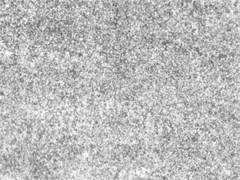 Tempered sorbite microstructure of steel 45 after high tempering (×200). Photo by the authors in the laboratory of the Almalyk Branch of NUST MISIS 2026