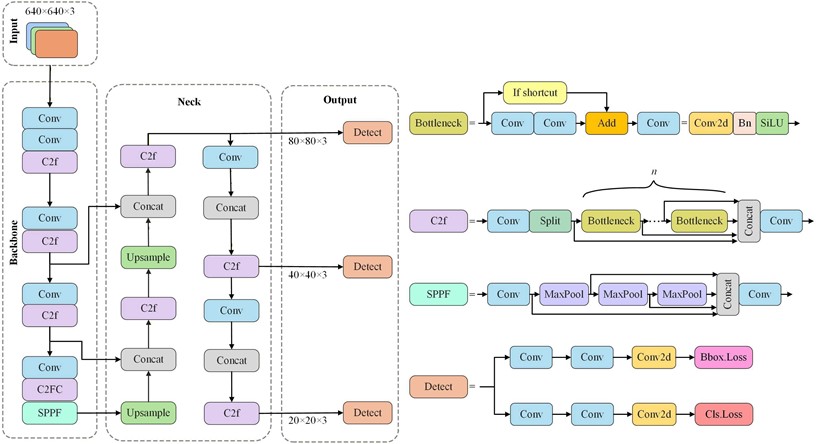 Architecture of the YOLOv8 network