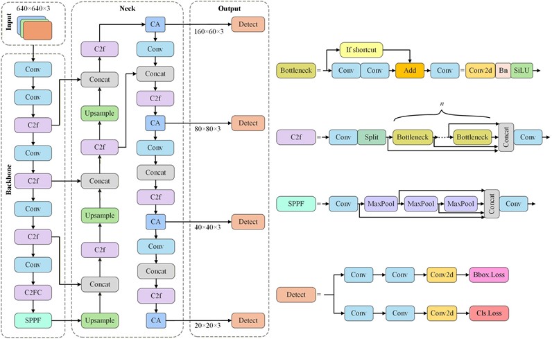Architecture of the improved YOLOv8s network