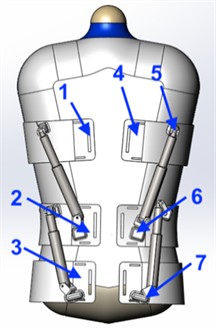 Front view of the spine exoskeleton showing actuator placement and attachment points