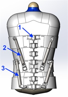 Rear view of the exoskeleton showing the segmental structure and actuator–spine interaction