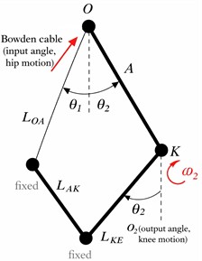 Kinematic scheme of the proposed hip-knee exoskeleton (AlmatyHipKneeRehabExo)