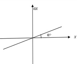 Double- flag model