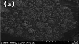 SEM results of fly ash