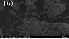 SEM results of fly ash