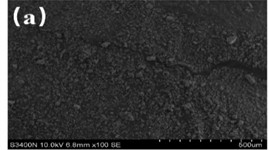 SEM results of mineral filler