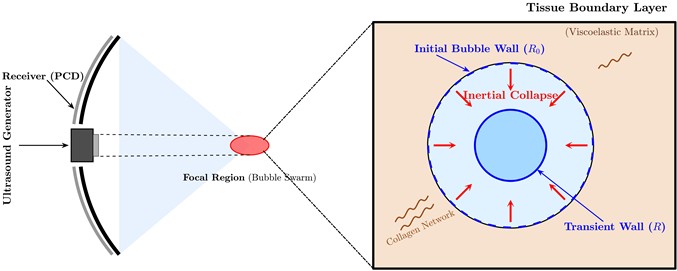 Schematic representation of the multi-scale thermo-mechanical coupling mechanism and physical scenario in the HIFU “boiling-cavitation” synergistic ablation