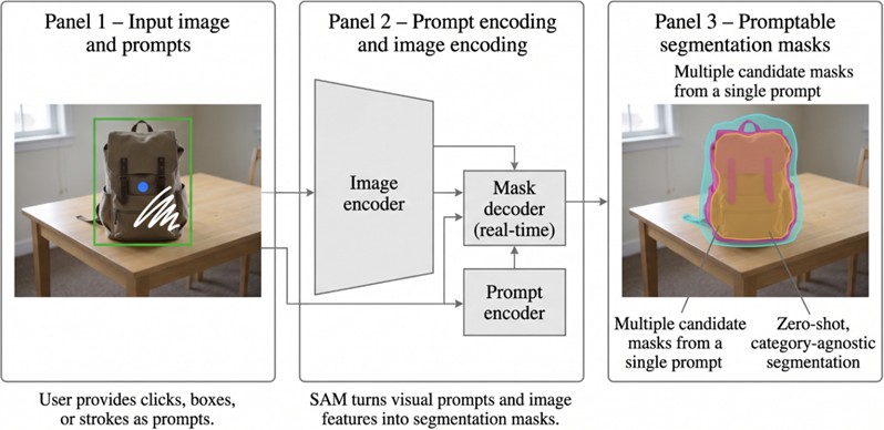 Conceptual illustration of the segment anything model (SAM) as a promptable image segmentation foundation model