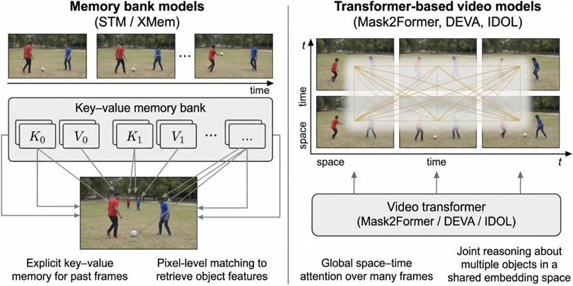 Memory bank models store explicit features for selected frames