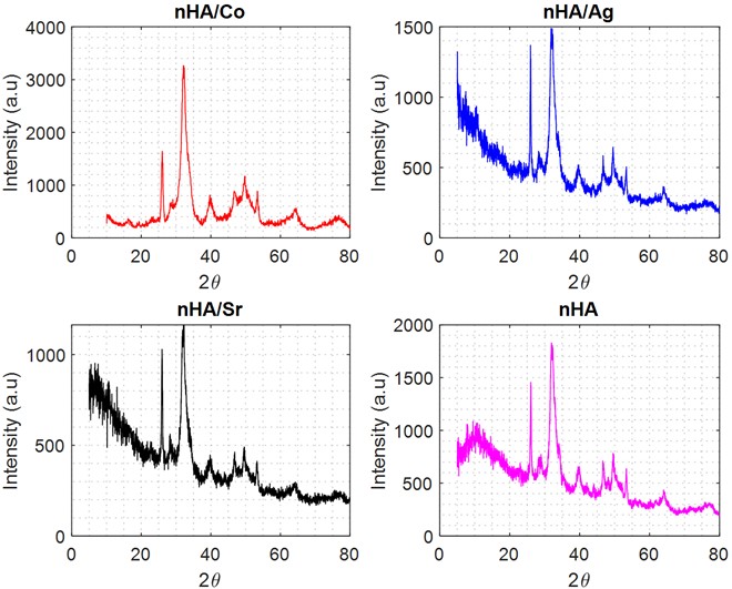 XRD patterns of HAP, HAP/Sr, HAP/Co, and HAP/Ag, showing characteristic hydroxyapatite reflections at 2θ≈ 26.2°, 32.2°, 39.9°, 49.6°, and 64.0° (JCPDS No. 84-1998) with no secondary or impurity phases, confirming phase-pure synthesis of the doped nanocatalysts