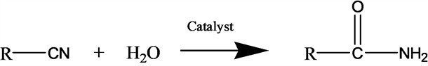 General reaction scheme for the catalytic hydration of aromatic nitriles (R-CN) to the corresponding primary amides (R–CONH₂) over the HAP-based nanocatalysts