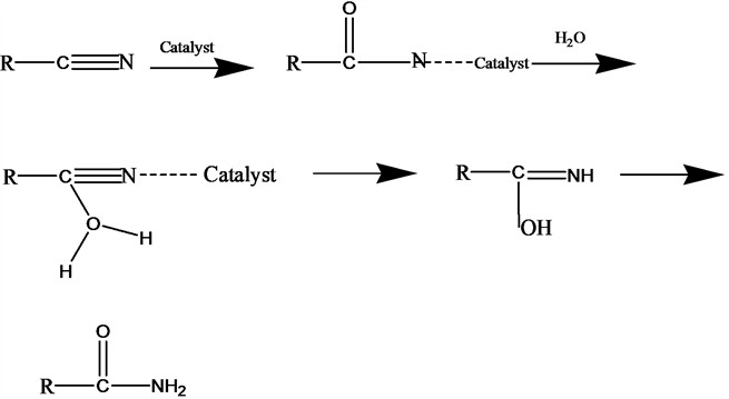 Proposed reaction mechanism for the HAP-catalyzed hydration of nitriles to amides, showing nitrile coordination to the catalyst surface, nucleophilic attack by water, formation of the iminol intermediate, and tautomerization to the amide product