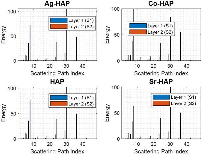 Wavelet scattering transform (WST) energy distributions for Ag-HAP, Co-HAP, HAP, and Sr-HAP, resolved into first-order (S1) and second-order (S2) coefficients across the scattering path index, showing that energy is concentrated in a small number of low-index paths