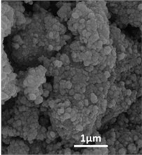 FE-SEM micrographs of a) HAP, b) HAP/Sr, c) HAP/Co, and d) HAP/Ag, showing predominantly spherical nanoparticles with a mesoporous texture; mean particle size decreases from approximately 20-35 nm for pure HAP to 10-25 nm for the doped materials