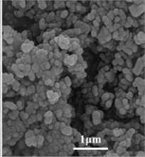 FE-SEM micrographs of a) HAP, b) HAP/Sr, c) HAP/Co, and d) HAP/Ag, showing predominantly spherical nanoparticles with a mesoporous texture; mean particle size decreases from approximately 20-35 nm for pure HAP to 10-25 nm for the doped materials