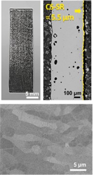 Optical and scanning electron microscope (SEM) images of the surface and cross-sections  of as-printed annealed Fe-6.5 wt%Si sheets [29]