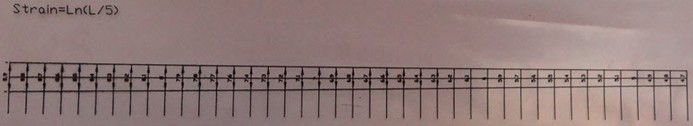 a) Undeformed circular grid measured in AutoCAD 2010, showing the reference diameters (nominally 4 mm) used as L₀ in the strain calculation; b) the calibrated flexible strip used to measure grid dimensions along the curvilinear wall. Principal strains were evaluated as ε=lnLL0 with L0= 4, the printed grid diameter, and L the corresponding major or minor axis of the deformed ellipse