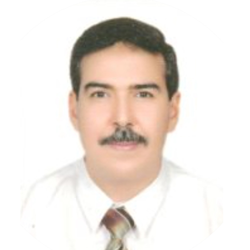Prof. Mohamed I. A. Othman